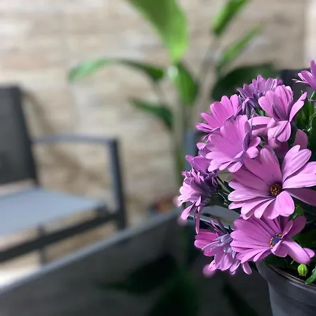 Nyaraló La Casa Di Mamma Monopoli