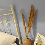 La Casa Di Mamma Nyaraló Monopoli