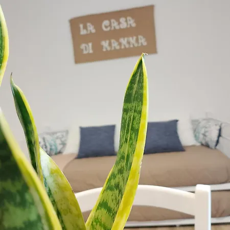 La Casa Di Mamma Hébergement de vacances *