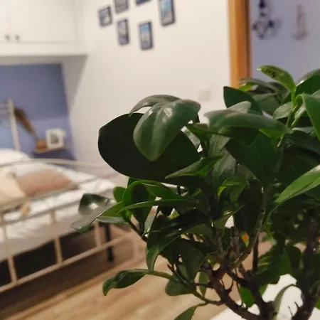 La Casa Di Mamma Vakantiehuis