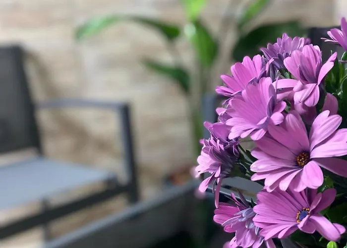 펜션 La Casa Di Mamma 모노폴리